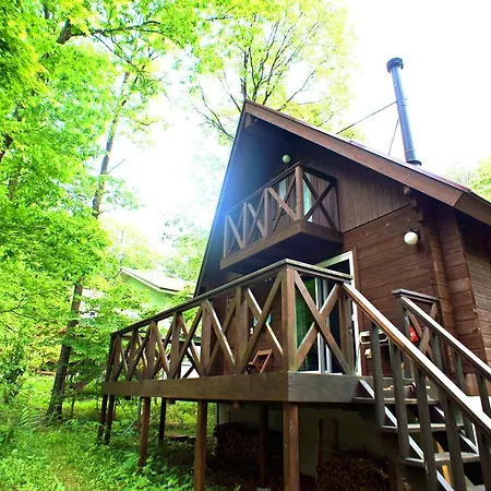 Haruna Lodge Private Log House With Starry Sky From The Skylight, Fireplace, And Spacious Deck Bbq Nasu Exterior photo