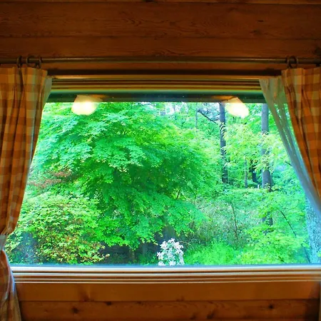Haruna Lodge Private Log House With Starry Sky From The Skylight, Fireplace, And Spacious Deck Bbq Nasu Exterior photo