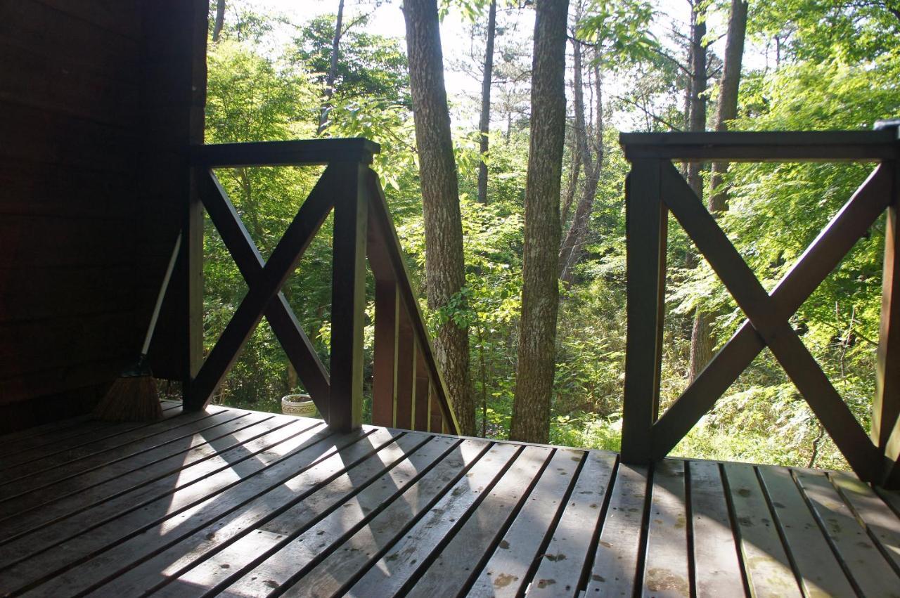 Haruna Private Log House With Starry Sky From The Skylight, Fireplace, And Spacious Deck Bbq Villa