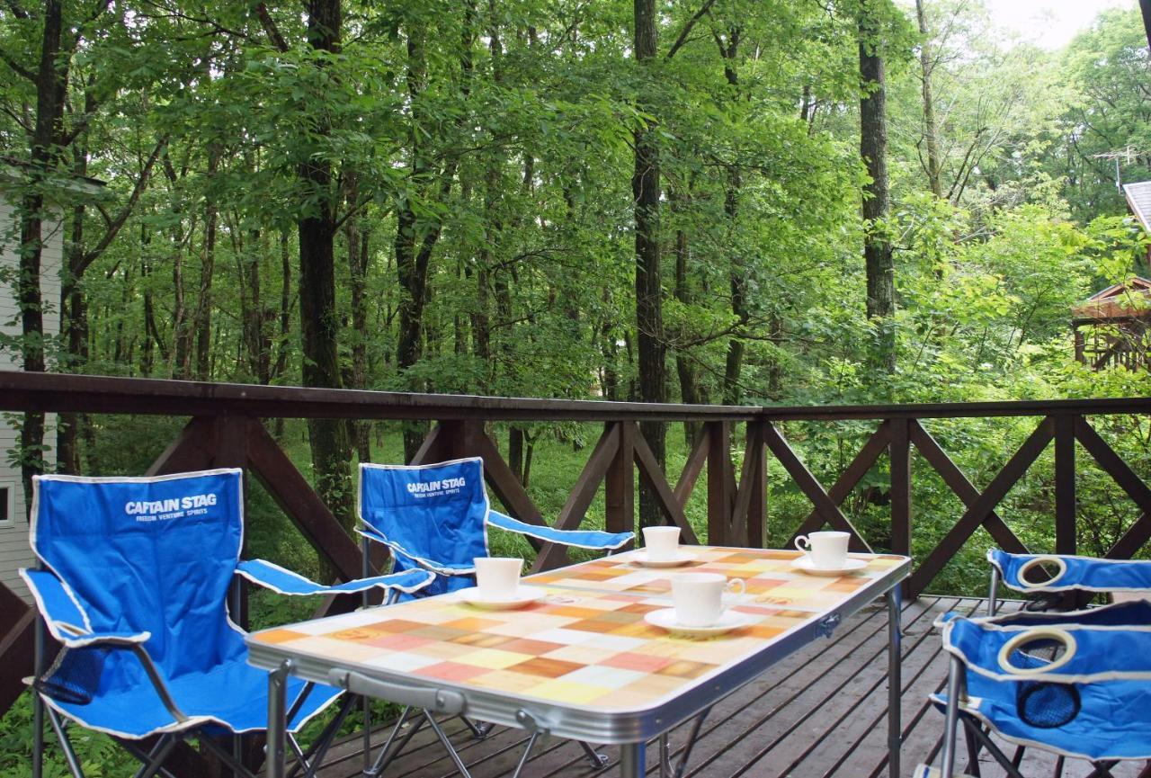 Haruna Private Log House With Starry Sky From The Skylight, Fireplace, And Spacious Deck Bbq * Nasu